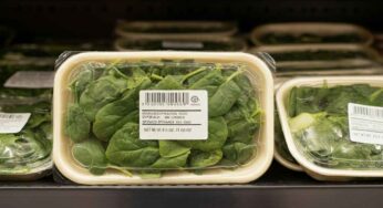 Spinaci cotti richiamati: il ministero avverte per un errore nella data di scadenza