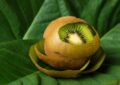 Non buttare le bucce del kiwi